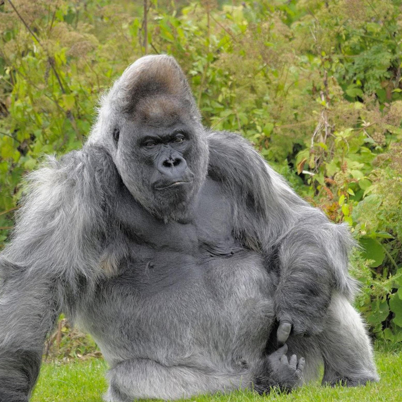 МАН-ын даргыг сонгох нууц санал хураалт болж байна