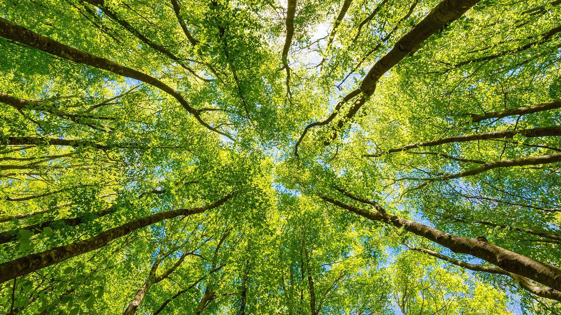 • Хөрөнгө оруулагч хүн мэддэг, ойлгодог, хариуцлага нэхдэг