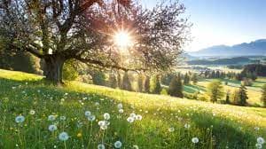 Гадаадын зөвлөмж: IFRS for SMEs & FasterCapitalГадаадын зөвлөмж: IFRS for SMEs & FasterCapital